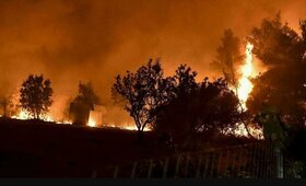 آتش سوزی گسترده در جنگل حمزه