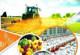 صادرات سالانه ۶ میلیارد دلار محصولات کشاورزی ایران