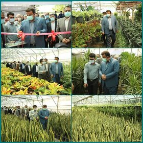افتتاح واحد تولیدی گل و گیاه در استان مازندران