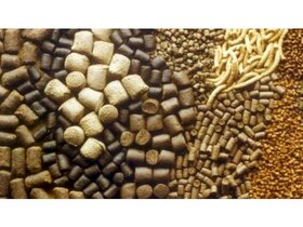 3800 تن خوراک دام بین دامداران سوادکوه توزیع شد