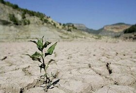 رایزنی وزارت نیرو و یونیسف درباره خشکسالی