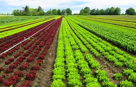 رفع ایرادات شورا به طرح تعیین تکلیف کارشناسان بیمه کشاورزی