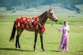آغاز پانزدهمین جشنواره اسب اصیل ترکمن در روستای صوفیان کلاله