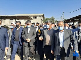 وزیر جهاد: تحویل نهاده دامی خام به کارخانه‌های فرآوری