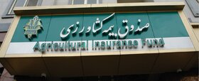 استان یزد رتبه نخست پوشش بیمه روستایی و عشایری کشور را کسب کرد