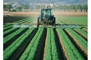 افزایش ۳.۵ میلیون تنی تولیدات کشاورزی