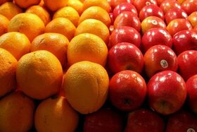مزایده باقیمانده میوه های تنظیم بازاری عید