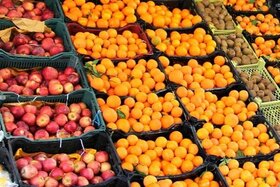 انجام ذخیره‌سازی میوه تنظیم بازار در ۳ سردخانه خراسان رضوی