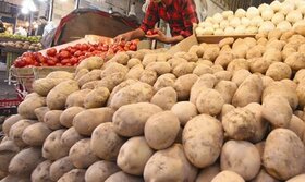 وضع عوارض ۶هزار تومانی برای صادرات هر کیلو سیب‌زمینی