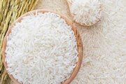 کاهش واردات برنج به کشور در فروردین