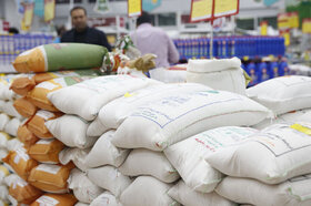موجودی برنج کشور برای هر میزان تقاضای بازار کافی است