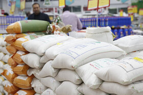 رکود در بازار کالاهای اساسی؛ برنج و روغن ارزان می شود