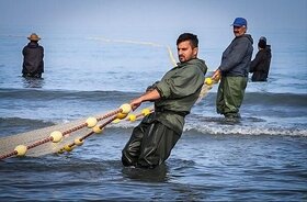 شناورهای صیادی در مازندران تعدیل می شود