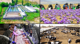 ۱۰۹ پروژه بخش کشاورزی در خراسان جنوبی به بهره برداری می رسد