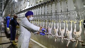 شورای عالی قیمت گذاری در حال بررسی قیمت مرغ