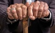 "بیمه اجتماعی روستاییان و عشایر" در دوران پیری عصای دست کشاورزان می‌شود