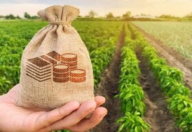 اعلام دومین فهرست منتخبین و اولویت‌دهی تخصیص ارز کالاهای کشاورزی