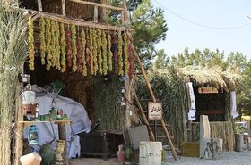 ۷۰ درصد غرفه‌های جشنواره انگور هزاوه توسط بانوان مدیریت می‌شود