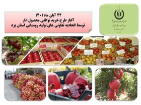 آغاز طرح خرید توافقی محصول انار توسط اتحادیه تعاونی های تولید روستایی استان یزد