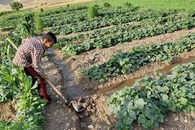 استاندار کردستان: ۲۷۰۰ هکتار از اراضی کشاورزی مریوان آبی می‌شود