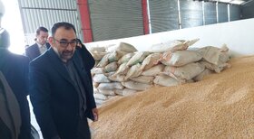 افتتاح کارخانه خوراک دام و طیور در شهرستان بردسکن