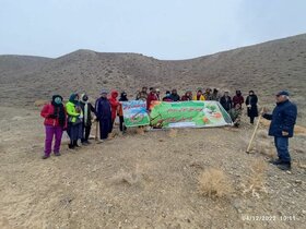 بذرپاشی همیاران طبیعت در ۱۰۰ هکتار از مراتع دامغان