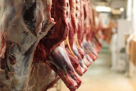اتحادیه و اتاق اصناف فارس قیمت گوشت قرمز را تعیین خواهد کرد