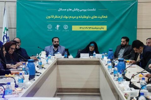 رئیس فراکسیون سازمان های مردم نهاد مجلس شورای اسلامی