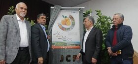 چهارمین جشنواره ملی مرکبات در جیرفت برگزار می شود