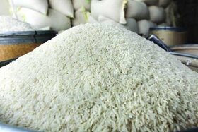 ۵۰ تن برنج تنظیم بازار در شهرستان گناوه توزیع می‌شود