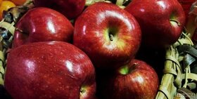 ذخیره ۳۲۰ هزار تن سیب در سردخانه‌های کشور