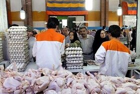 گران فروشی جوجه یکروزه؛ علت گرانی گوشت مرغ
