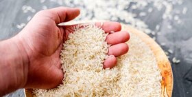 خرید توافقی برنج سنواتی هاشمی با قیمت ۷۰ هزار تومان از کشاورزان