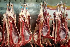 واردات روزانه ۲۰۰ تن گوشت کشتار شده بهداشتی از کراچی