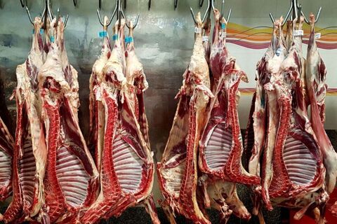 واردات روزانه ۲۰۰ تن گوشت کشتار شده بهداشتی از کراچی