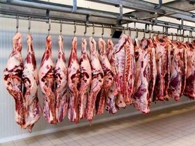 تولید گوشت عشایر به ۲۵۰ هزار تن می‌رسد