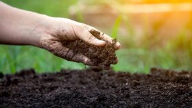 مدیریت «سلامت خاک» چگونه انجام می‌شود؟