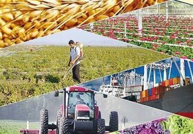 موانع سرمایه‌گذاری در کشاورزی آذربایجان شرقی برداشته می‌شود