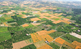 تجمیع و یکپارچه سازی ۱۱ هزار و ۴۰۰ هکتار اراضی کشاورزی در سال ۱۴۰۲