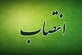 بحرانی سرپرست سازمان جهاد کشاورزی استان بوشهر شد