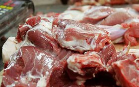 ۶۳.۵ درصد افزایش قیمت هر کیلوگرم شقه گوسفند در یک سال