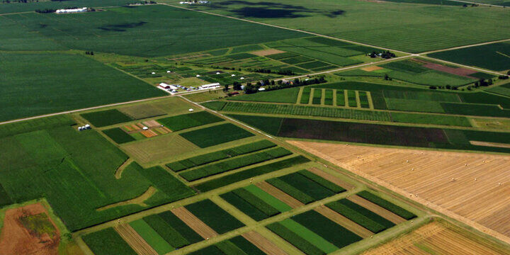 یکپارچه‌سازی اراضی کشاورزی؛ گل یا پوچ