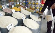 برنامه دولت برای تخصیص ارز برنج اعلام شود
