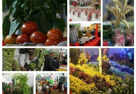 جذب سرمایه با مشارکت مردم برای تکمیل و ایجاد واحدهای تولیدی بخش کشاورزی در استان زنجان